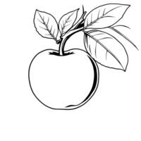 Line Art Drawing Of A Single Apple With Leaves Attached To The Stem vector
