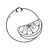 Simple Line Drawing Of A Grapefruit With A Slice vector