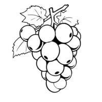 A Cluster Of White Grapes With Lush Green Leaves vector