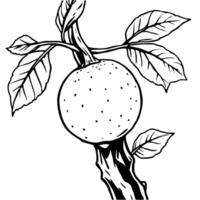 Line Art Drawing Of A Single Orange On A Branch With Leaves vector