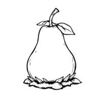 Hand-Drawn Illustration Of A Single Pear Resting On Leaves vector
