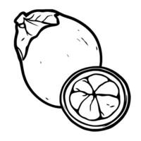 Hand-Drawn Illustration Of A Mangosteen Fruit Whole And Sliced Showing Its Segments vector