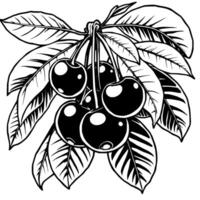 A Cluster Of Ripe Cherries On A Branch With Lush Leaves vector