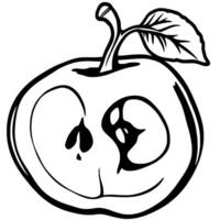 Halved Apple Illustration A Bold Black And White Drawing Of A Cross-Sectioned Apple With Leaf vector