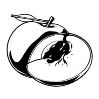 Stylized Black And White Illustration Of A Peach Halved Showing Seeds And Stem vector