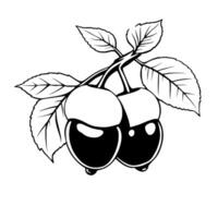 Two Cherries on Branch with Leaves Simple Line Art Design vector