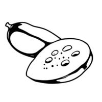 Simple Line Drawing Of A Halved Lotus Seed Pod vector