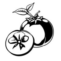 Stylized Black And White Illustration Of A Single Apple Halved Showing A Flower-Shaped Core vector