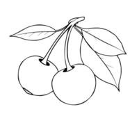 Two Cherries On A Branch With Leaves Line Art Illustration vector