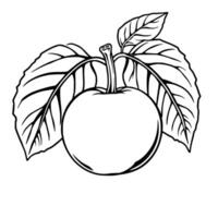 Line Art Drawing Of A Single Apple With Leaves vector