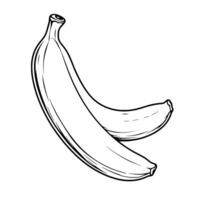 Line Art Drawing Of Two Ripe Bananas Curving Elegantly vector