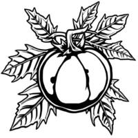 A Bold Black And White Illustration Of A Tomato With Leaves vector