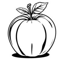 Simple Line Drawing Of A Ripe Apple With Leaves vector