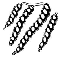 Illustration Of Three Black And White Peppercorn Strings vector