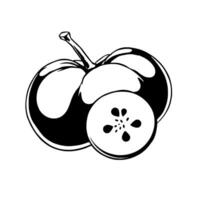 Vibrant Pink Acerola Cherries Whole Fruit And Cross Section vector