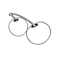 A Simple Line Drawing Of Two Cherries On A Stem vector