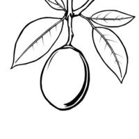 Single Ripe Mango Hanging From Branch With Leaves vector