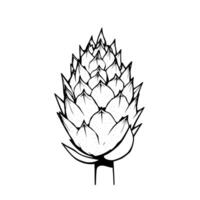 Detailed Line Art Drawing Of A Single Artichoke Bud vector