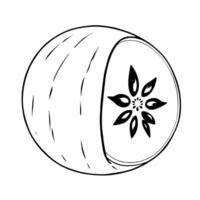 A Simple Line Drawing Of A Halved Kiwi Fruit vector