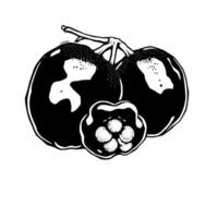 Stylized Black And White Illustration Of A Cluster Of Berries vector