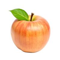 Fresh ripe red and yellow apple with green leaf and brown stem isolated on white background photo