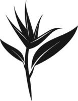 Bird Of Paradise Black Silhouette vector