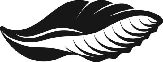 Abstract Seashell Black And White Graphic vector