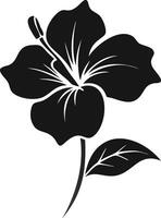 Black And White Hibiscus Flower Silhouette vector