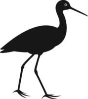 Limpkin Bird Illustration In Minimalist Style vector