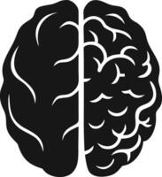 Human Brain Illustration In Black And White vector