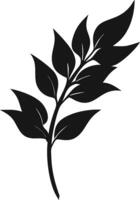 Leafy Branch Silhouette Nature Graphic Design Element vector