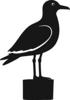 Seagull Standing Black And White Icon vector