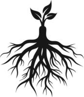 Seedling With Roots Illustration In Black vector