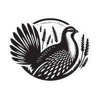Black Greater Sagegrouse for Digital Art Projects vector