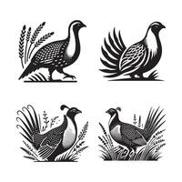 High-Resolution Greater Sagegrouse Black Silhouette Art vector