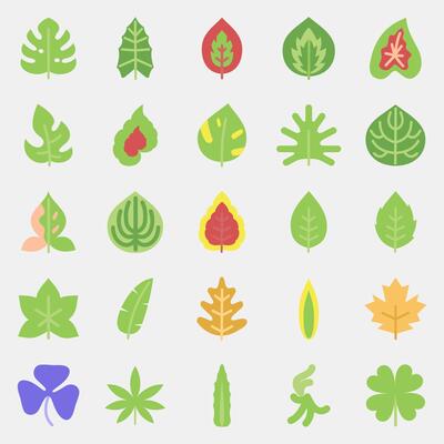 Icon set of leaves. Plant leaves elements. Icon in flat style.
