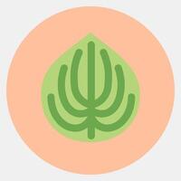 Icon peperomia. Plant leaves elements. Icon in color mate style. vector