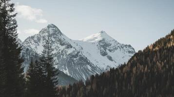 Snow-capped mountain peaks rise majestically, framed by a dense forest, creating a scenic vista. photo