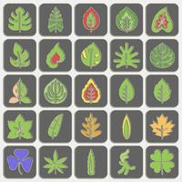 Icon set of leaves. Plant leaves elements. Icon in embossed style. vector