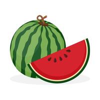 Fresh watermelon on white background vector