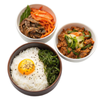 Delicious Korean Bibimbap Bowl with Rice Egg Carrots Beef and Greens png