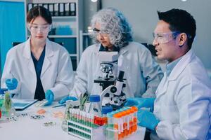 Group of scientists working in laboratory photo