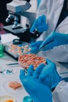 Scientists in lab coats and gloves working on food photo