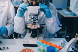 Two people in lab coats looking at something in a microscope photo