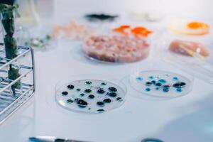 A table with various types of bacteria and other items photo