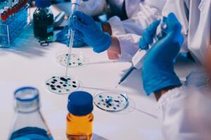 Scientists working in a laboratory with blue gloves photo