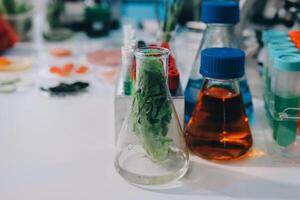 A laboratory table with a vase filled with lettuce photo