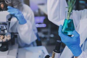 Two people in lab coats holding up plants photo
