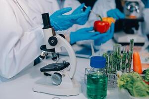 Scientists in lab coats and gloves are working with vegetables photo