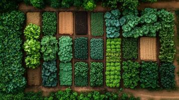 High-resolution satellite image displaying smart farm management system photo